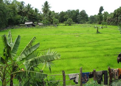 Cambodia Countryside